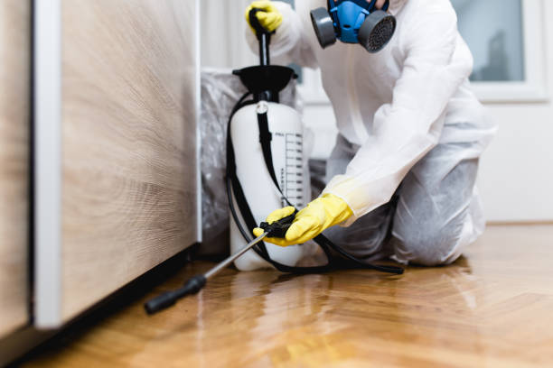 Best Mosquito Control Services  in Yaeyville, NC