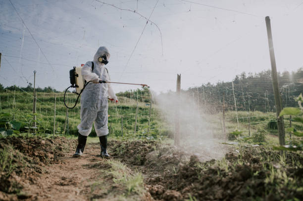 Best Commercial Pest Control Services  in Yaeyville, NC