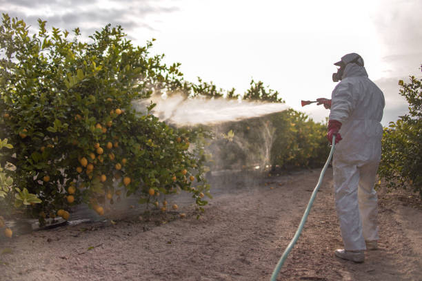Best Wildlife Control Services  in Yaeyville, NC