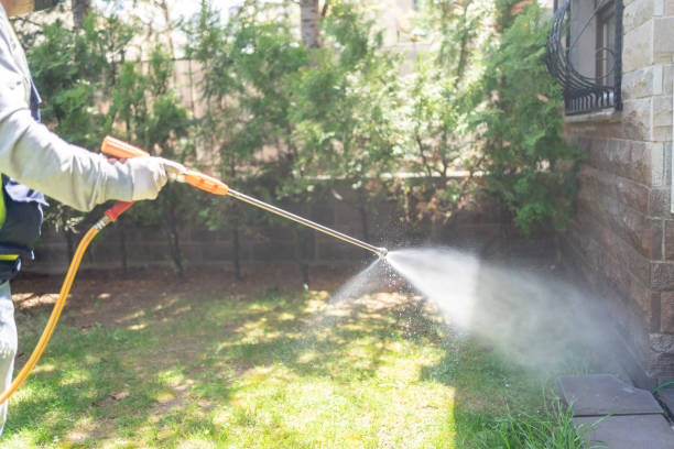 Best Affordable Pest Control Services  in Yaeyville, NC