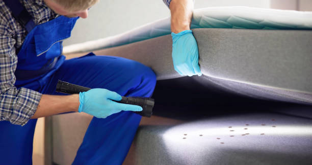 Best Bed Bug Extermination  in Yaeyville, NC
