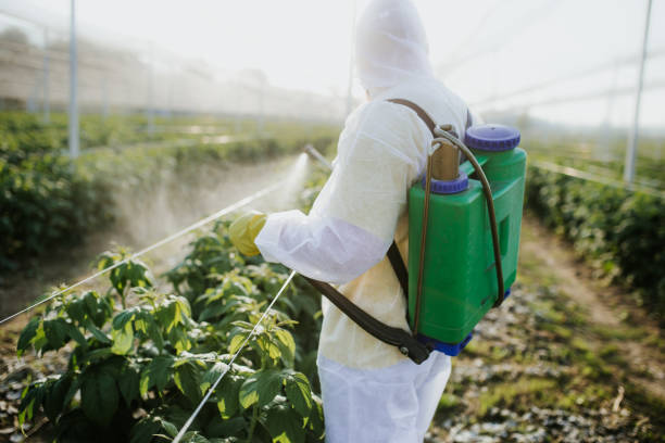 Wildlife Control Services in Yanceyville, NC